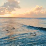 Untere Wende an einer farbenfrohen Wand am First Point - Noosa