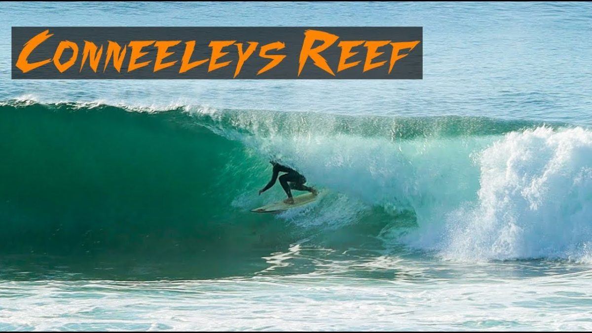 Coneeley’s Reef
