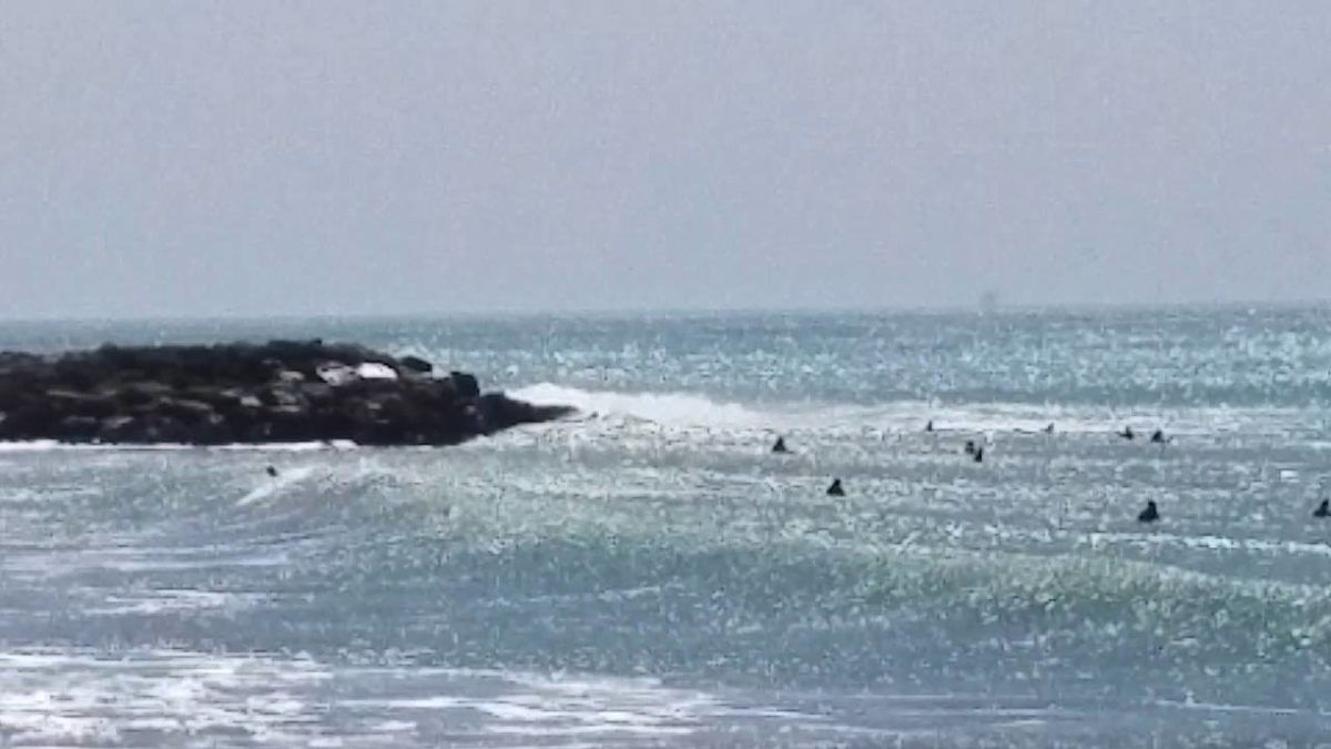 New Jetty/South Jetty