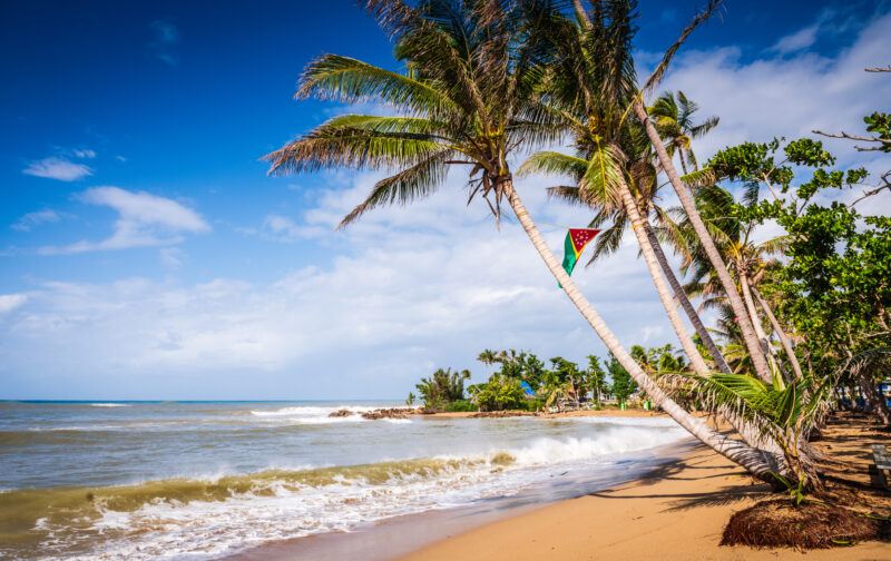 Tropical beach with palm trees, a flag hanging from one, gentle waves, and bright blue sky with scattered clouds. The scene is vibrant and inviting, evoking a sense of relaxation and paradise.