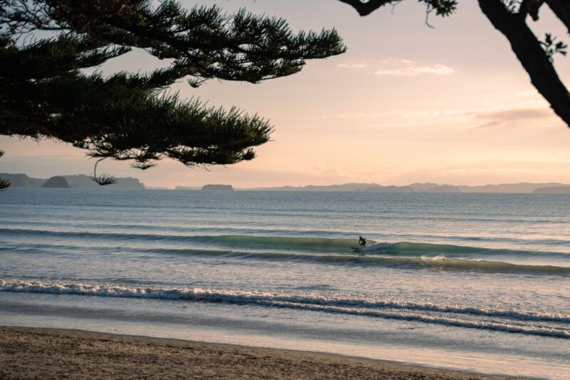 A lone surfer rides a gentle wave on a calm sea at sunrise or sunset, with tree branches framing the scene, an island in the distance, and a sandy beach in the foreground.